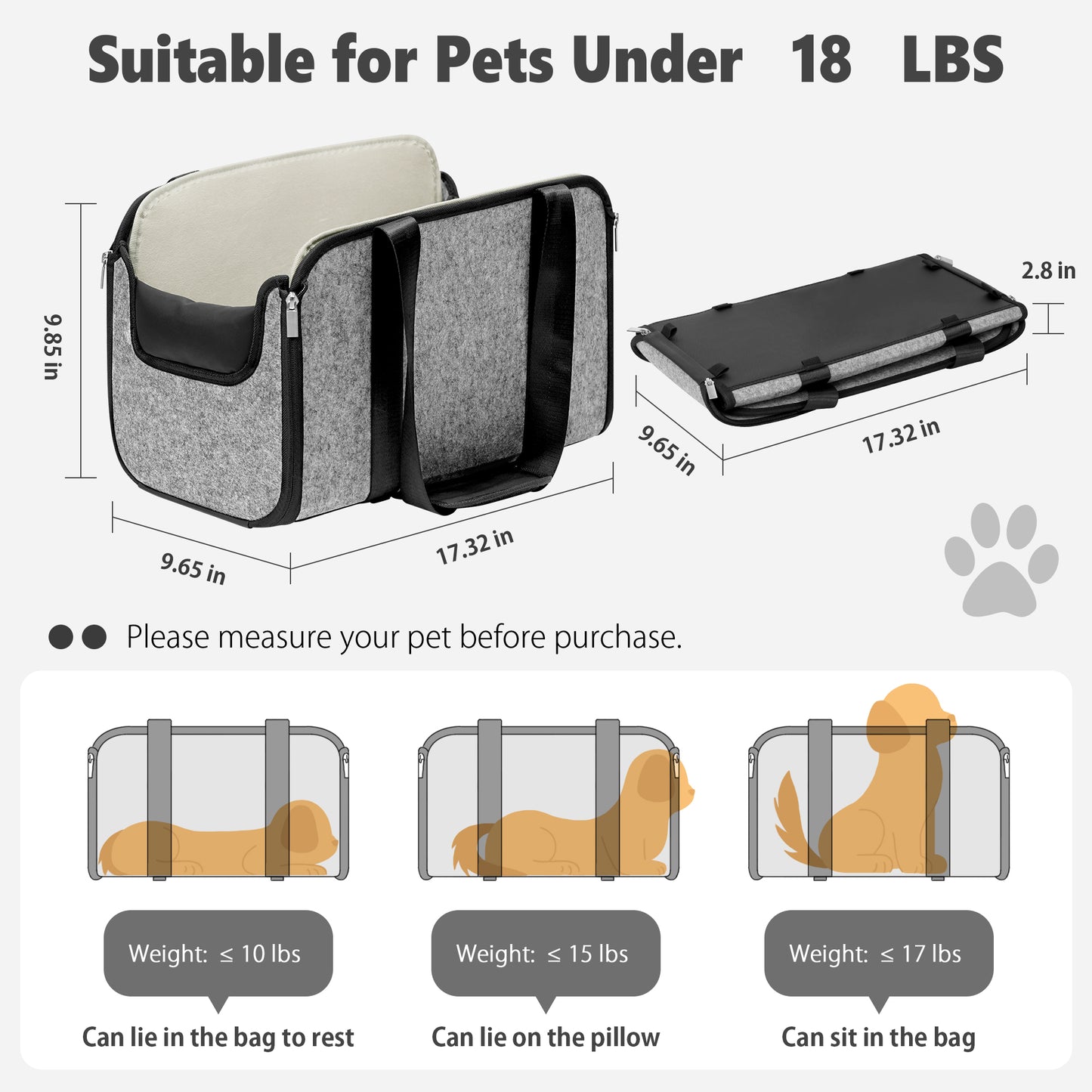 Dog Booster Car Seat for Pet Travel with Safety Belt