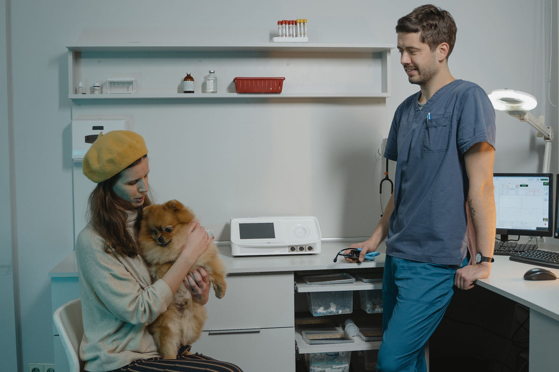 How to Bring Your Small Dog to Work — the Right Way