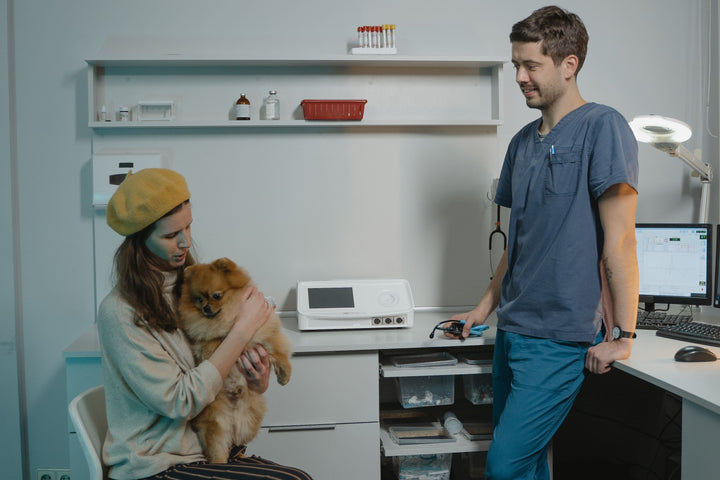 How to Bring Your Small Dog to Work — the Right Way