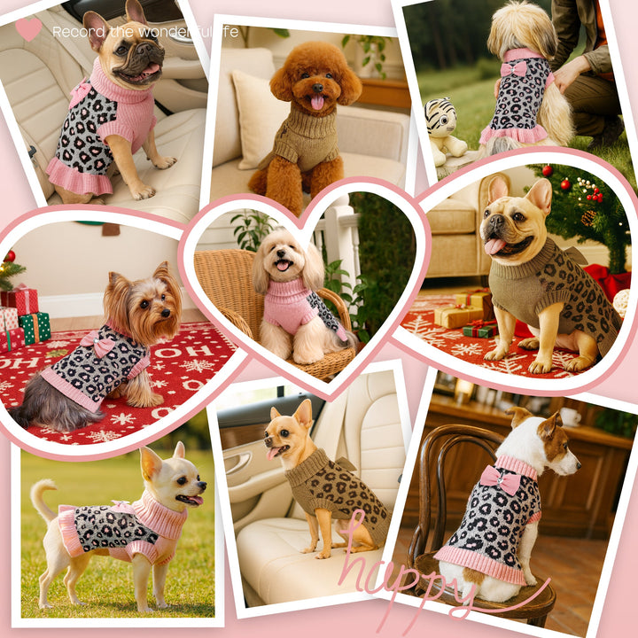 dog holiday gifts