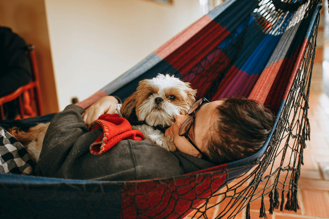 The Hidden Mental Load Nobody Warns You About When You Get a Small Dog