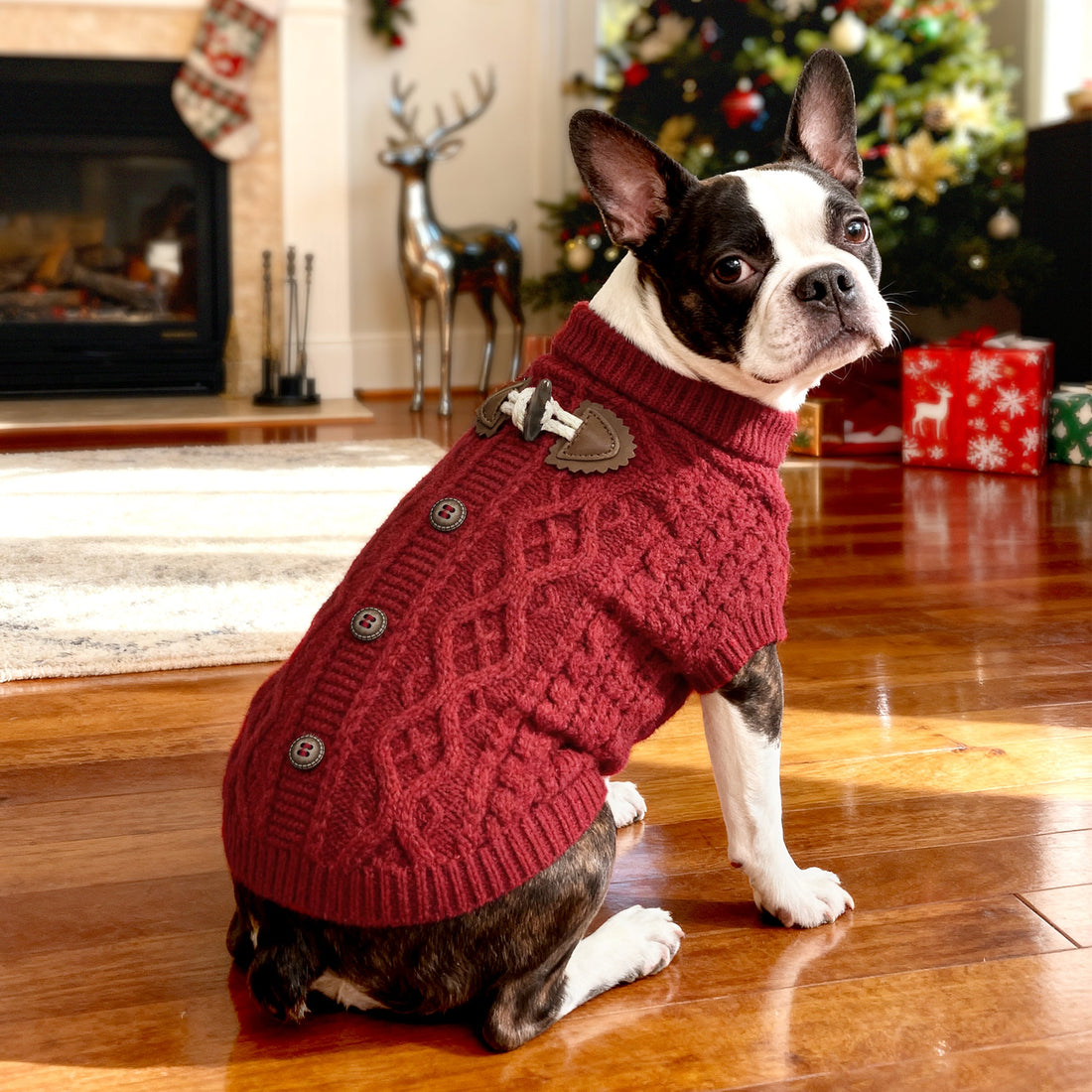 french bulldog clothes
