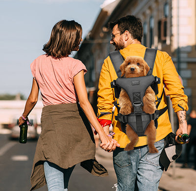 Stop the Shoulder Burn: The Science of Ergonomic Pet Carrying