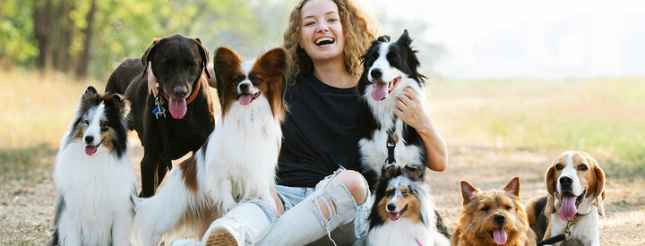The Ultimate Guide to National Rescue Dog Day 2026: Preparation, Adoption, and Essential Gear