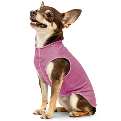Sun-Safe Cooling Dog Vest