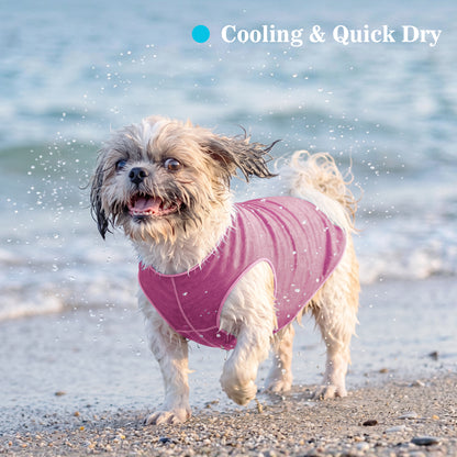 Sun-Safe Cooling Dog Vest