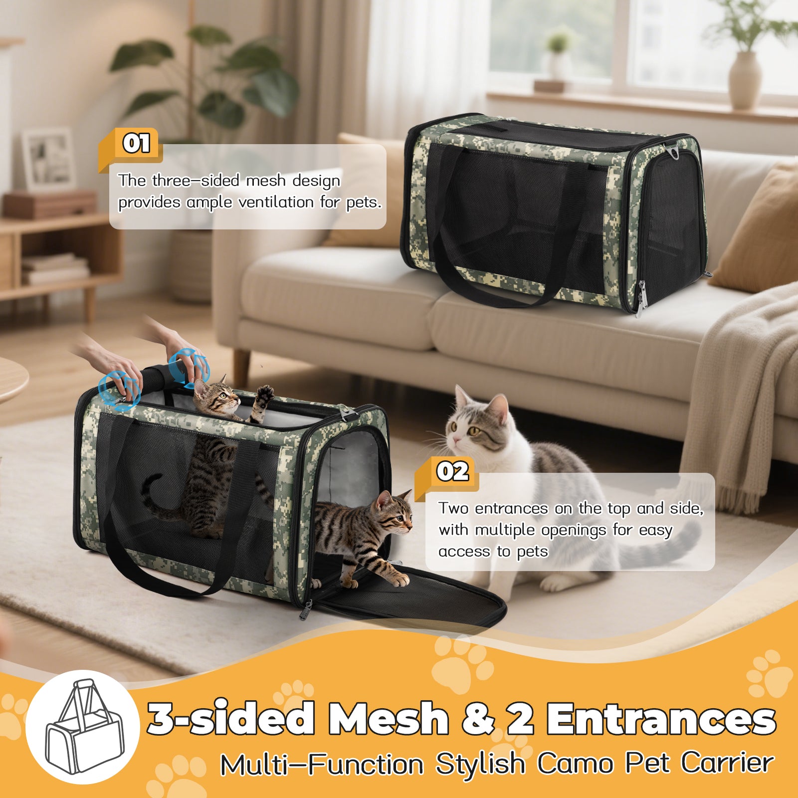 Airline Approved Carrier