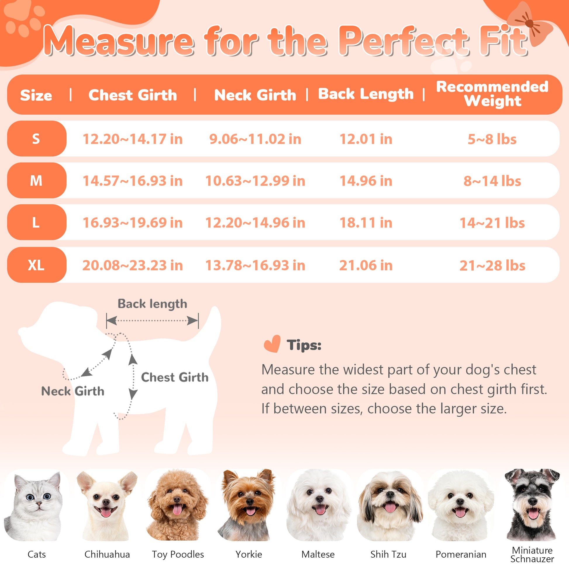Dog Pumpkin Knit Sweater Dress