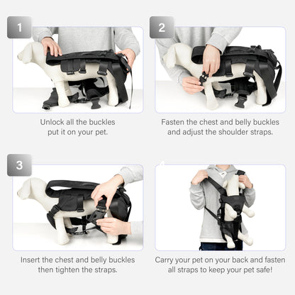 Front Pet Carrier Backpack for Small Dogs and Cats