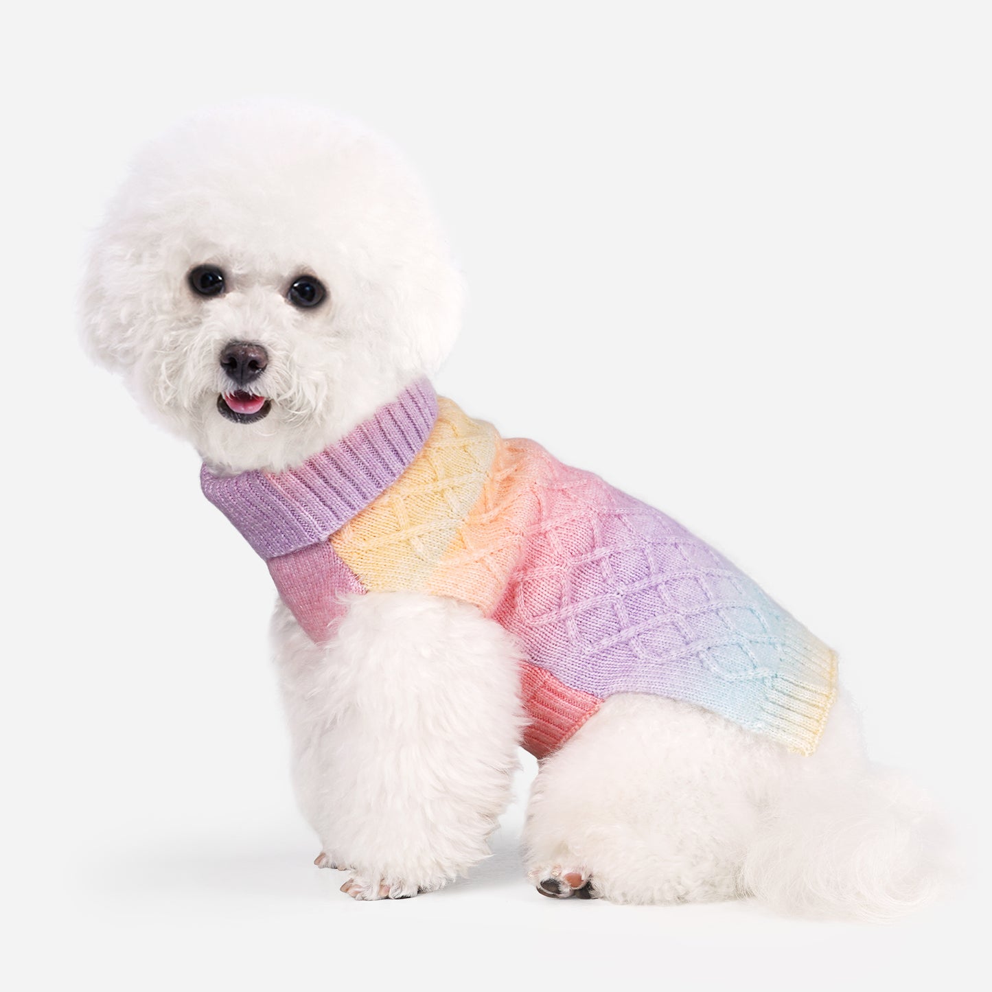 Pet Dog Winter Clothes Warm Sweater for Yorkies Rainbow